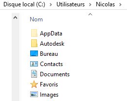 Windows afficher les fichiers et dossiers cachés