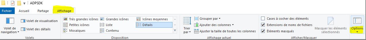 Windows afficher les fichiers et dossiers cachés