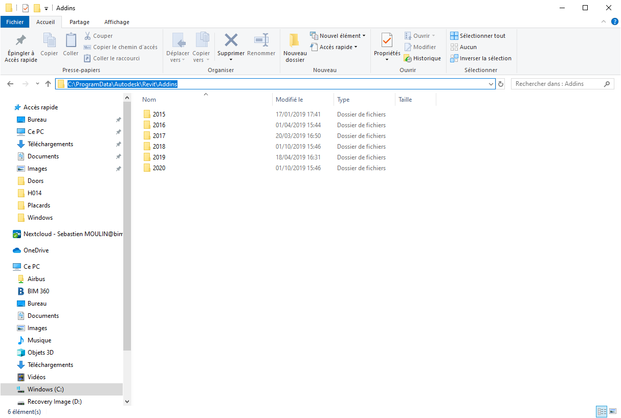 Bug Revit 2020