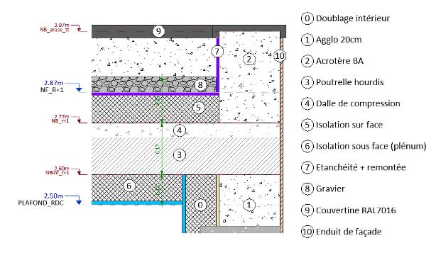 revit profil de coupe