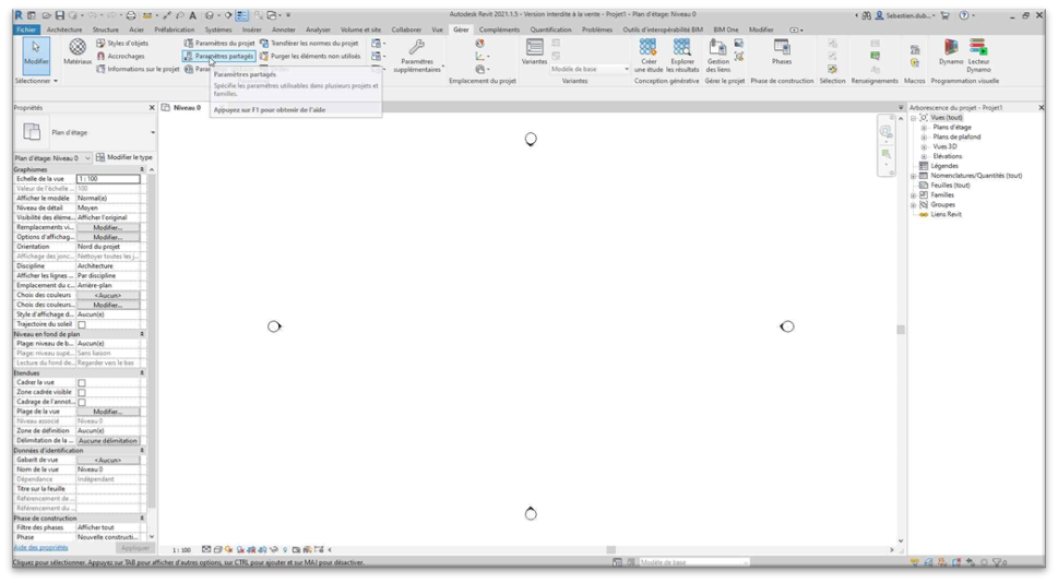 Revit - Les paramètres partagés